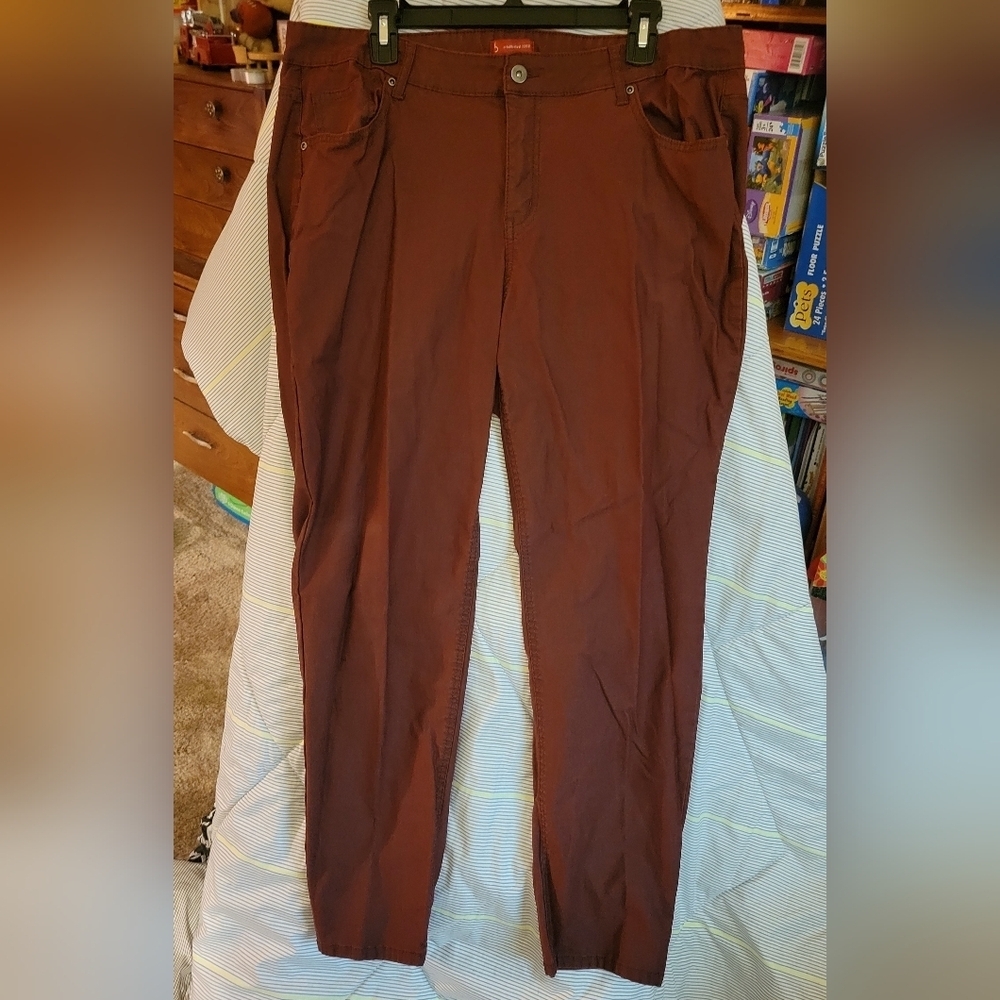Dressbarn Woman 20 Rust Skinny Very Stretchy Pants